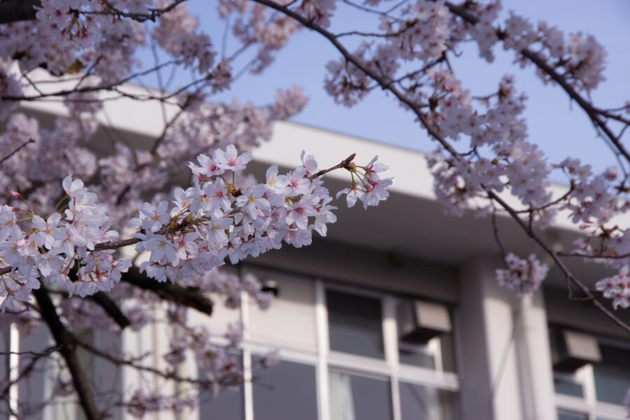 中学受験における倍率とは