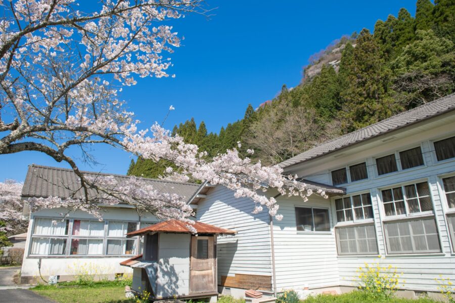 中学受験における御三家とは